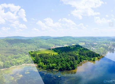 Developer's Dream - 33.10 Unrestricted Acres on Lake - photo 7