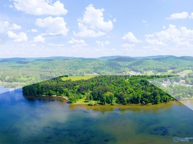 Developer's Dream - 33.10 Unrestricted Acres on Lake - photo 8
