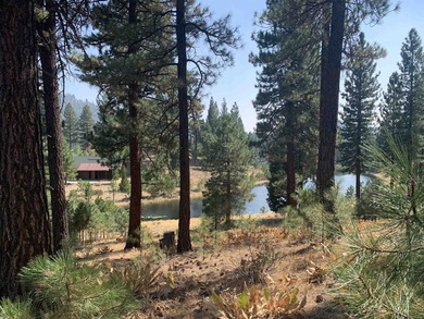 Gorgeous .42 acre Grizzly Ranch homesite perched above a large - photo 1