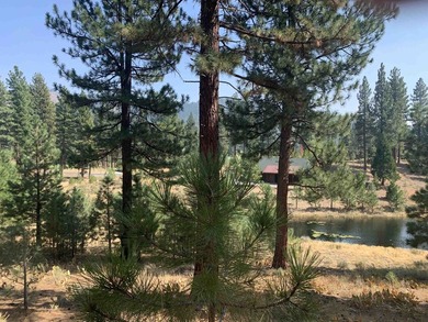 Gorgeous .42 acre Grizzly Ranch homesite perched above a large - photo 2