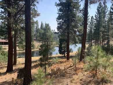 Gorgeous .42 acre Grizzly Ranch homesite perched above a large - photo 4