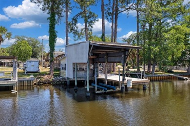 Talk about POTENTIAL! TWO amazing lots coming in at nearly .27 - photo 11