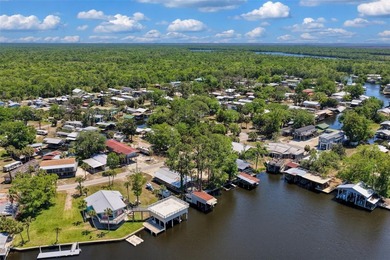 Talk about POTENTIAL! TWO amazing lots coming in at nearly .27 - photo 14