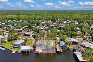 Talk about POTENTIAL! TWO amazing lots coming in at nearly .27 - photo 22