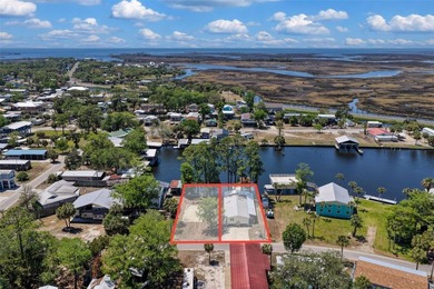 Talk about POTENTIAL! TWO amazing lots coming in at nearly .27 - photo 23
