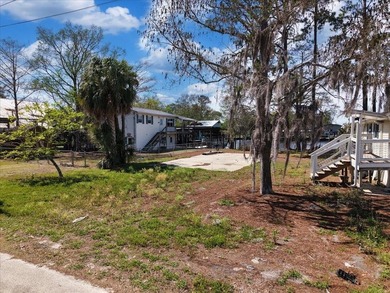 Talk about POTENTIAL! TWO amazing lots coming in at nearly .27 - photo 24