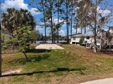 Talk about POTENTIAL! TWO amazing lots coming in at nearly .27 - photo 25