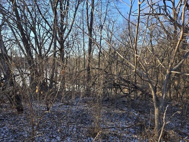 Apple Canyon Lake lot with views to the west towards the lake - photo 5