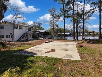 Talk about POTENTIAL! TWO amazing lots coming in at nearly .27 - photo 26