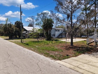 Talk about POTENTIAL! TWO amazing lots coming in at nearly .27 - photo 27