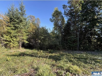 Rare and beautiful peaceful 2.6-acre cleared to build with - photo 3