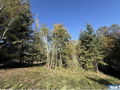 Rare and beautiful peaceful 2.6-acre cleared to build with - photo 4