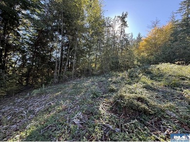Rare and beautiful peaceful 2.6-acre cleared to build with - photo 8