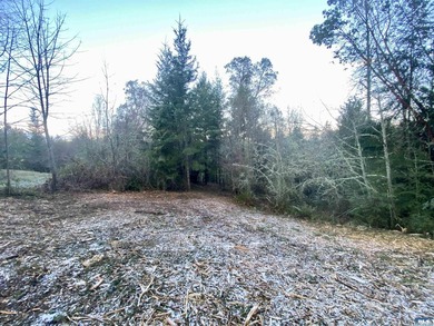 Rare and beautiful peaceful 2.6-acre cleared to build with - photo 9
