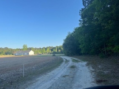 Lake Marion Lot For Sale in Manning South Carolina