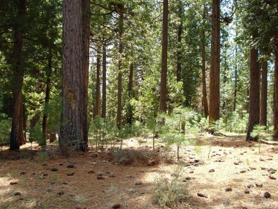 Approximately 1.17-acre lot located within the gated community - photo 1