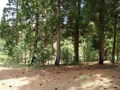 Approximately 1.17-acre lot located within the gated community - photo 2