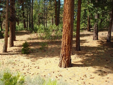 Approximately 1.17-acre lot located within the gated community - photo 3