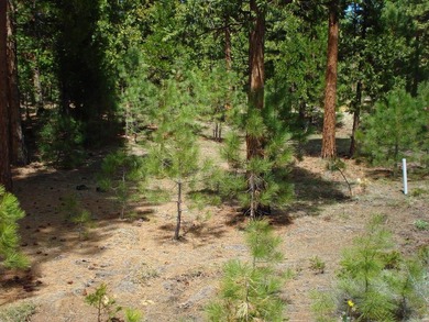 Approximately 1.17-acre lot located within the gated community - photo 4