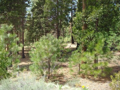 Approximately 1.17-acre lot located within the gated community - photo 5