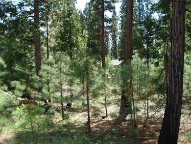 Approximately 1.17-acre lot located within the gated community - photo 6