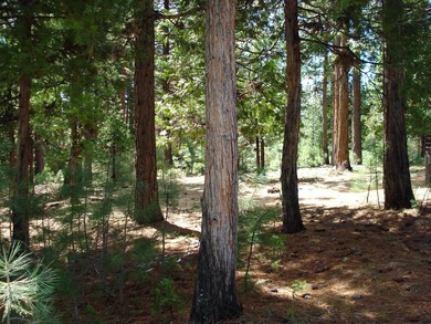 Approximately 1.17-acre lot located within the gated community - photo 7