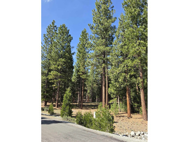 Approximately 1.1-acre lot located within the gated community of - photo 1