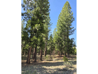 Approximately 1.1-acre lot located within the gated community of - photo 2