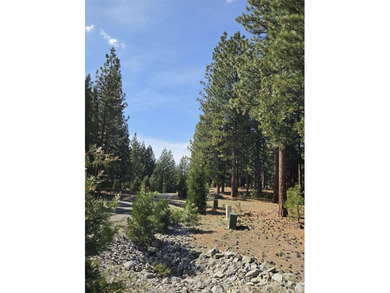 Approximately 1.1-acre lot located within the gated community of - photo 3