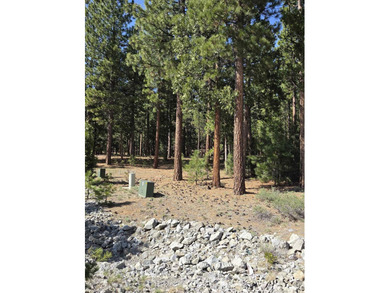 Approximately 1.1-acre lot located within the gated community of - photo 4