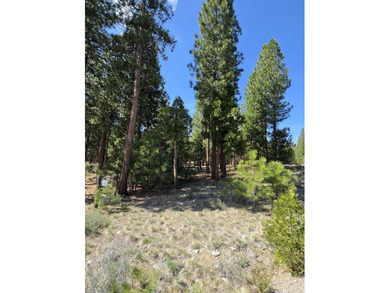 Approximately 1.1-acre lot located within the gated community of - photo 5