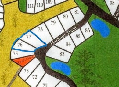 Build your dream home on this exceptional vacant lot of 1.22 - photo 4