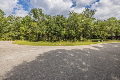 Build your dream home on this exceptional vacant lot of 1.22 - photo 8