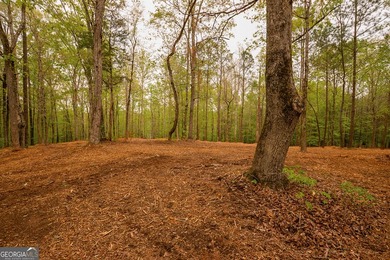Welcome to an extraordinary opportunity to build your dream - photo 11