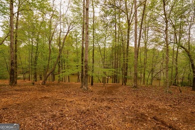 Welcome to an extraordinary opportunity to build your dream - photo 12