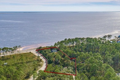 Enjoy your own private seaside retreat along the Forgotten Coast - photo 4