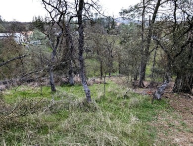 Lake Lot For Sale in Copperopolis, California