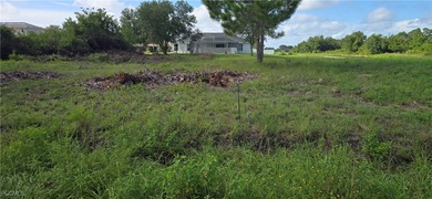 Lehigh Acres Area Lot For Sale in Lehigh Acres Florida