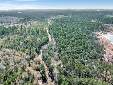 A rare opportunity for a large mixed use lake development - photo 6