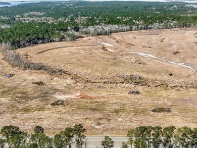 A rare opportunity for a large mixed use lake development - photo 8