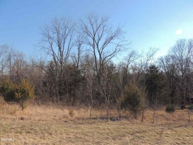 Galena Lake Lot For Sale in Galena Illinois