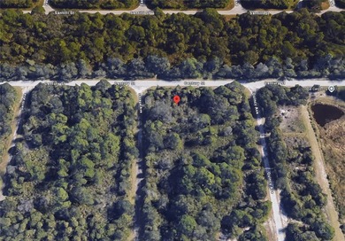 Great property for sale in Port Charlotte. This lots measures - photo 2