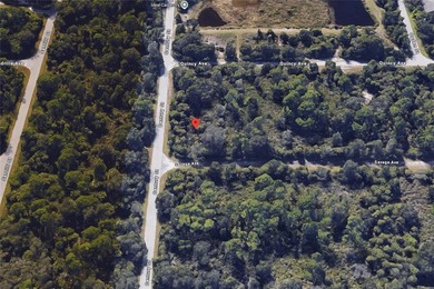Great property for sale in Port Charlotte. This lots measures - photo 3