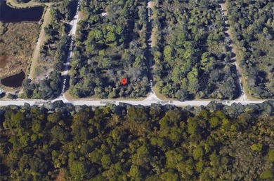 Great property for sale in Port Charlotte. This lots measures - photo 4