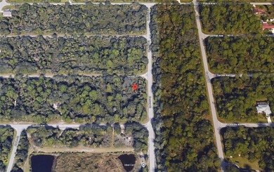 Great property for sale in Port Charlotte. This lots measures - photo 5
