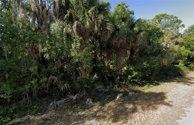 Great property for sale in Port Charlotte. This lots measures - photo 6