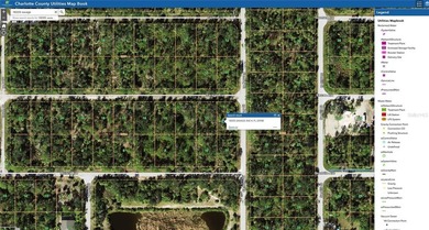 Great property for sale in Port Charlotte. This lots measures - photo 7