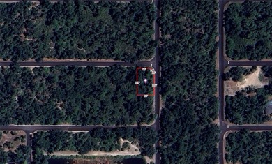 Great property for sale in Port Charlotte. This lots measures - photo 10