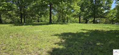 Lake Lot For Sale in Warsaw, Missouri