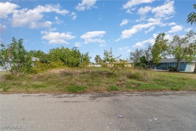 Build Your Dream Home or Investment Property in Cape Coral, FL! - photo 12